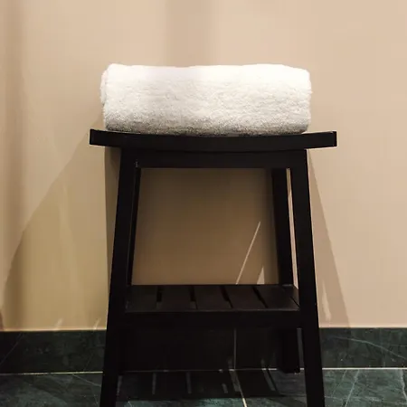 Artemisia Montmartre