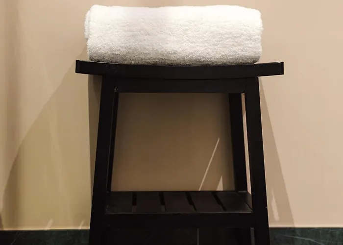 Artemisia Montmartre